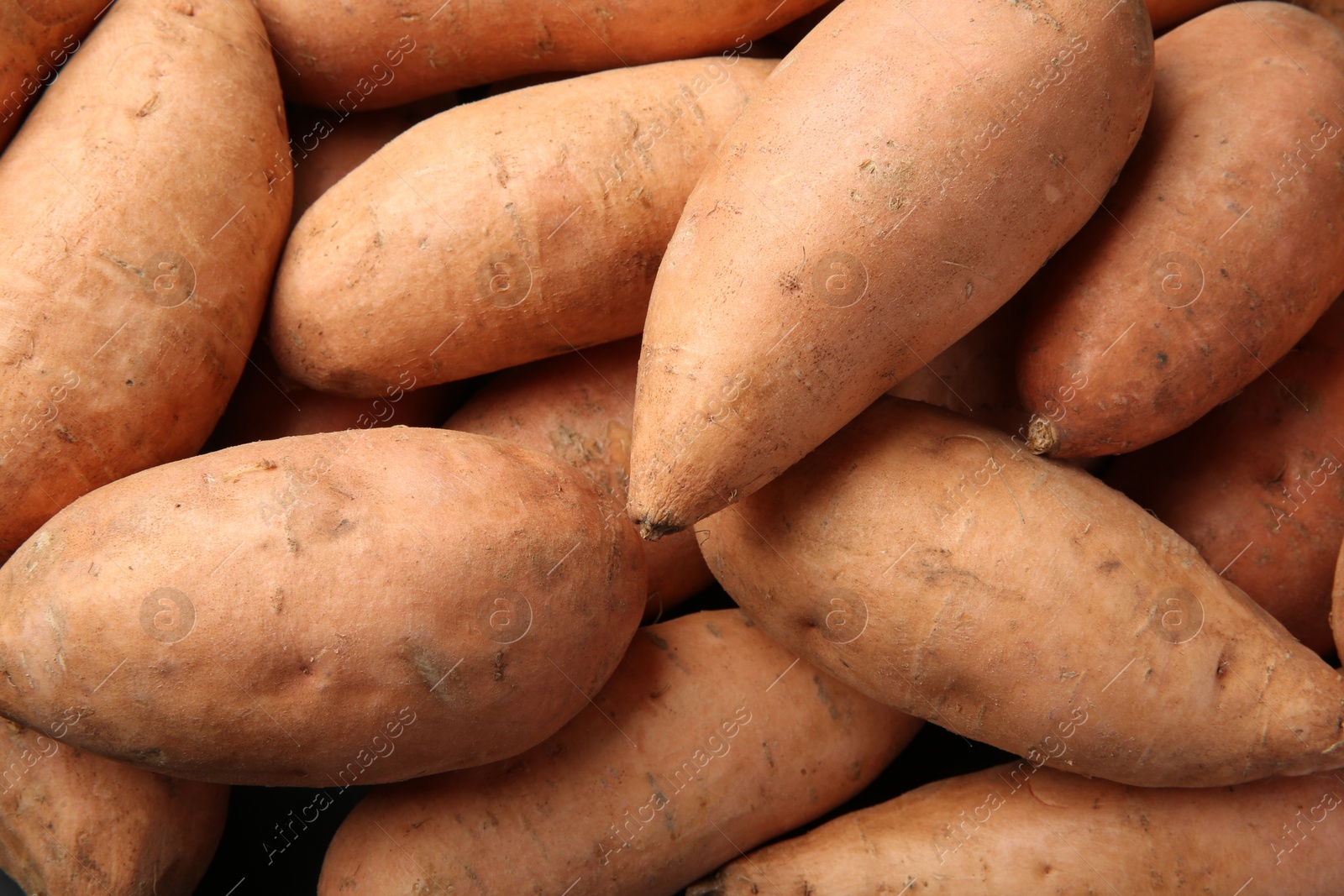 Photo of Fresh raw sweet potatoes as background, top view