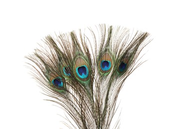 Photo of Many beautiful peacock feathers isolated on white