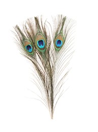 Three beautiful peacock feathers isolated on white