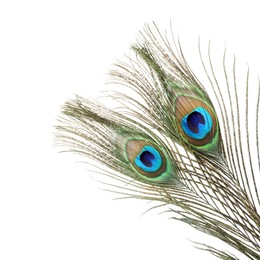 Photo of Two beautiful peacock feathers isolated on white