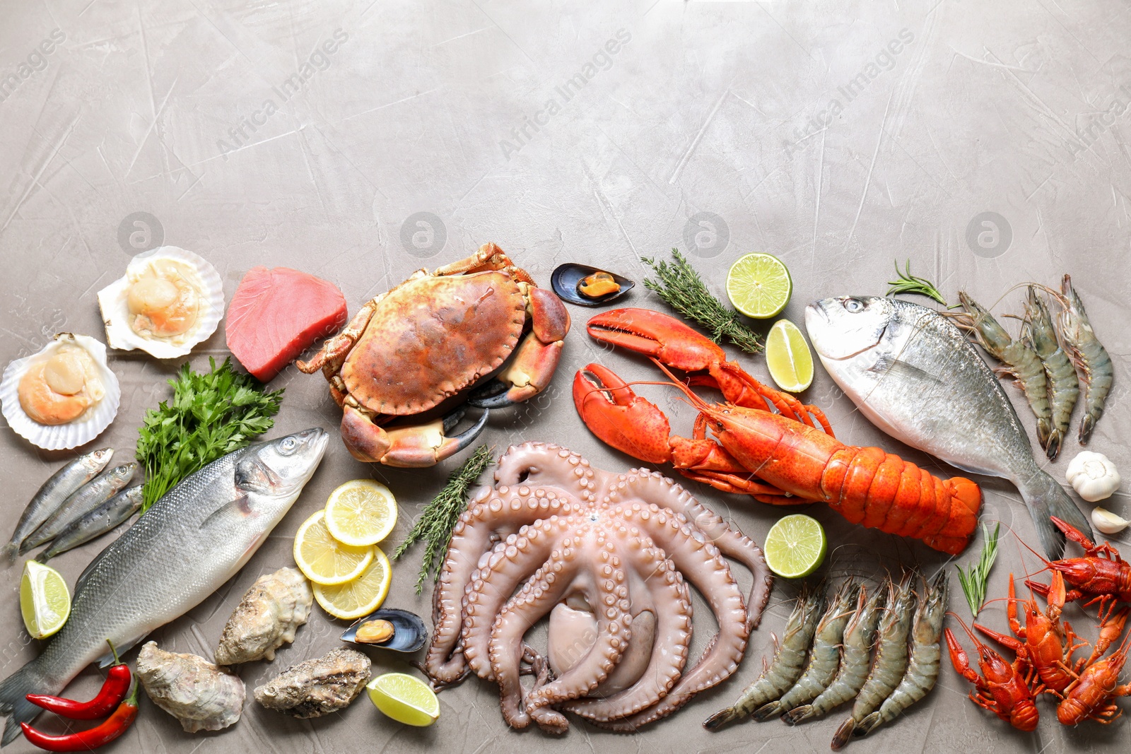 Photo of Many different sea food, herbs, lemon and lime on grey textured table, flat lay. Space for text