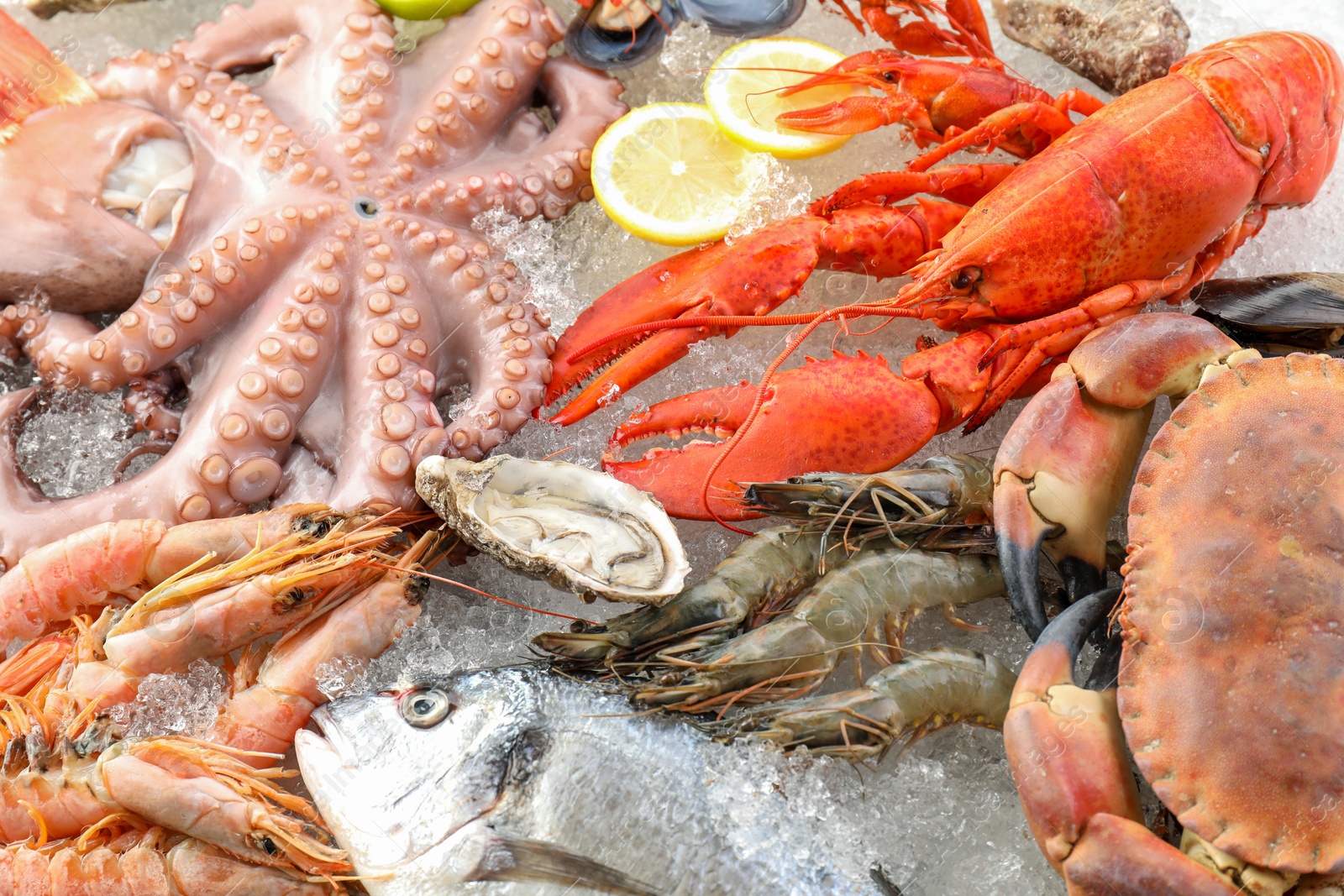 Photo of Whole fresh raw octopus, lobster and other sea food on ice, closeup