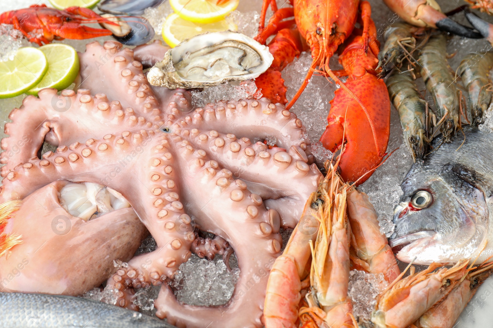 Photo of Whole fresh raw octopus, lobster and other sea food on ice, closeup