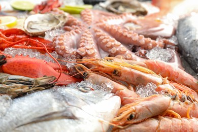 Photo of Whole fresh raw octopus, lobster and other sea food on ice, closeup