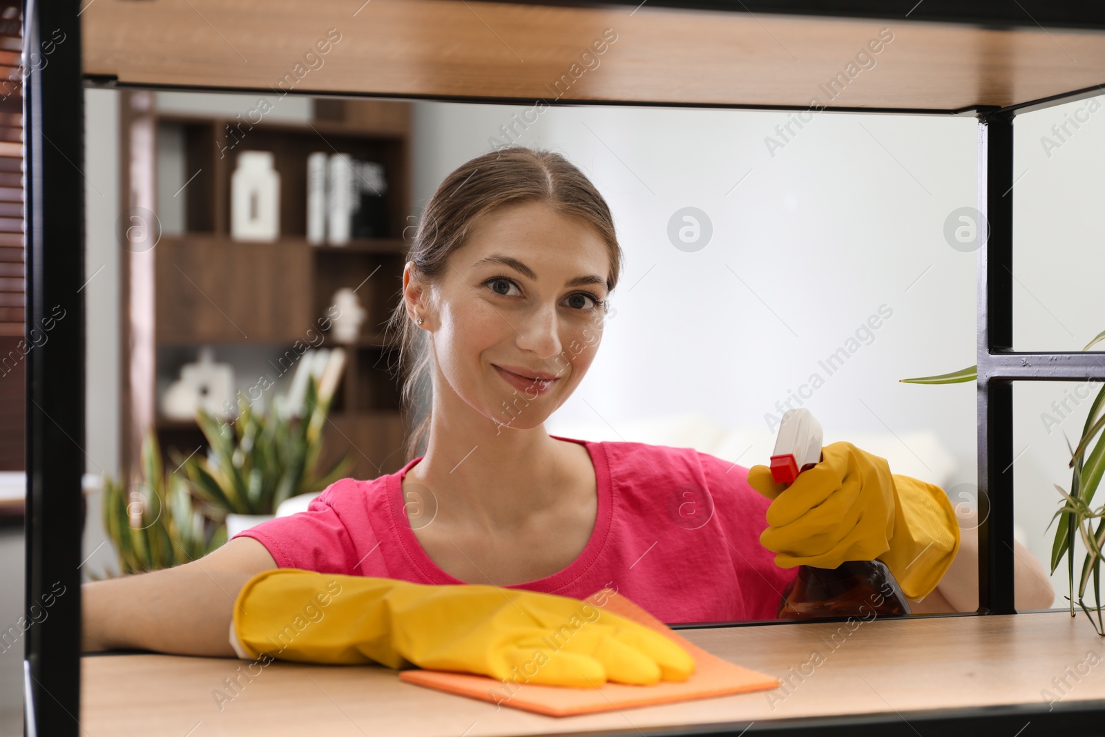 Photo of Young woman cleaning wooden shelf with rag and spray in office