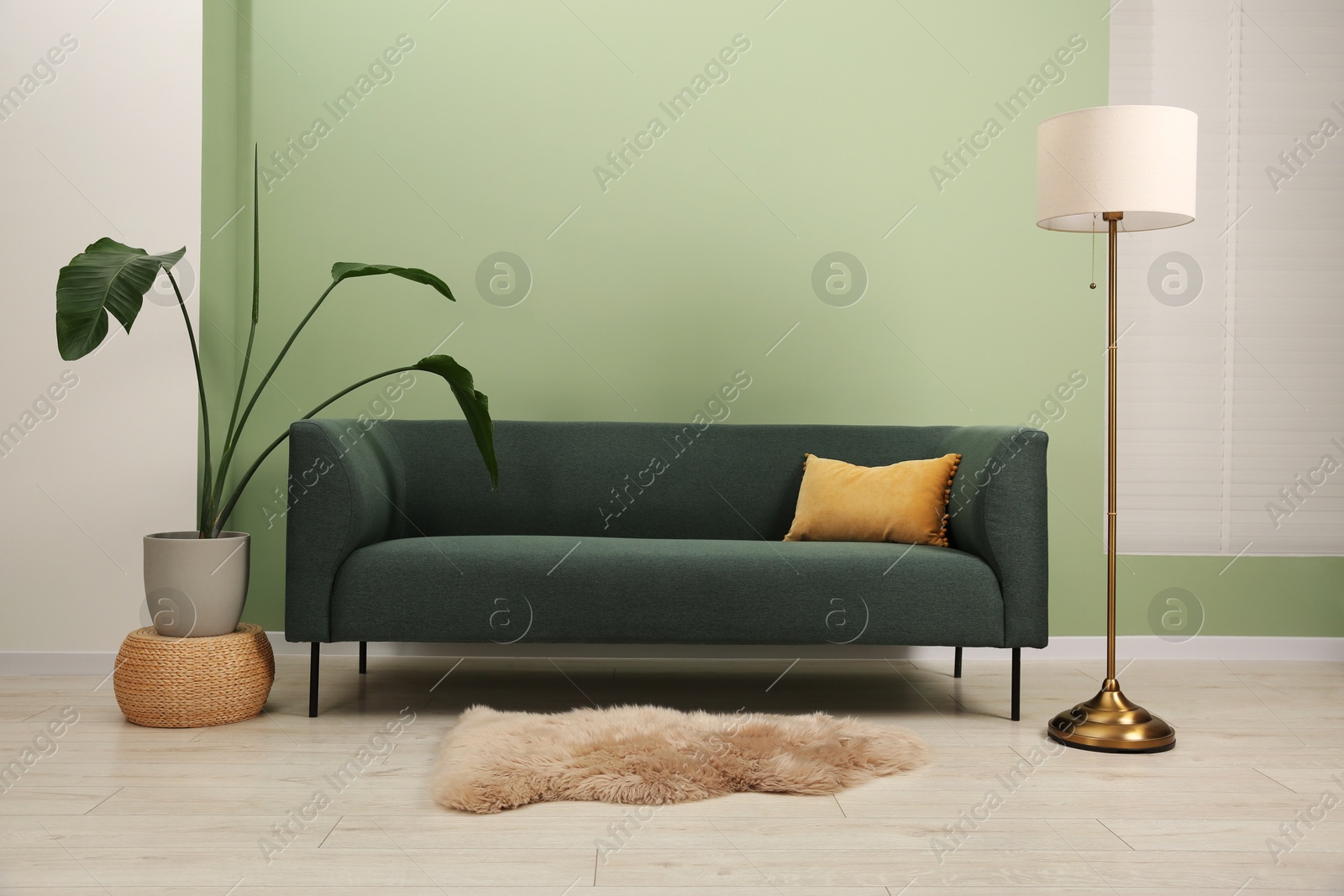 Photo of Stylish sofa with pillow, houseplant and lamp near green wall indoors