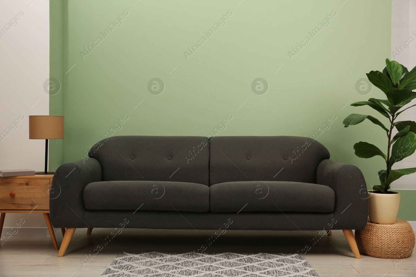 Photo of Stylish sofa, side table and houseplant near green wall indoors