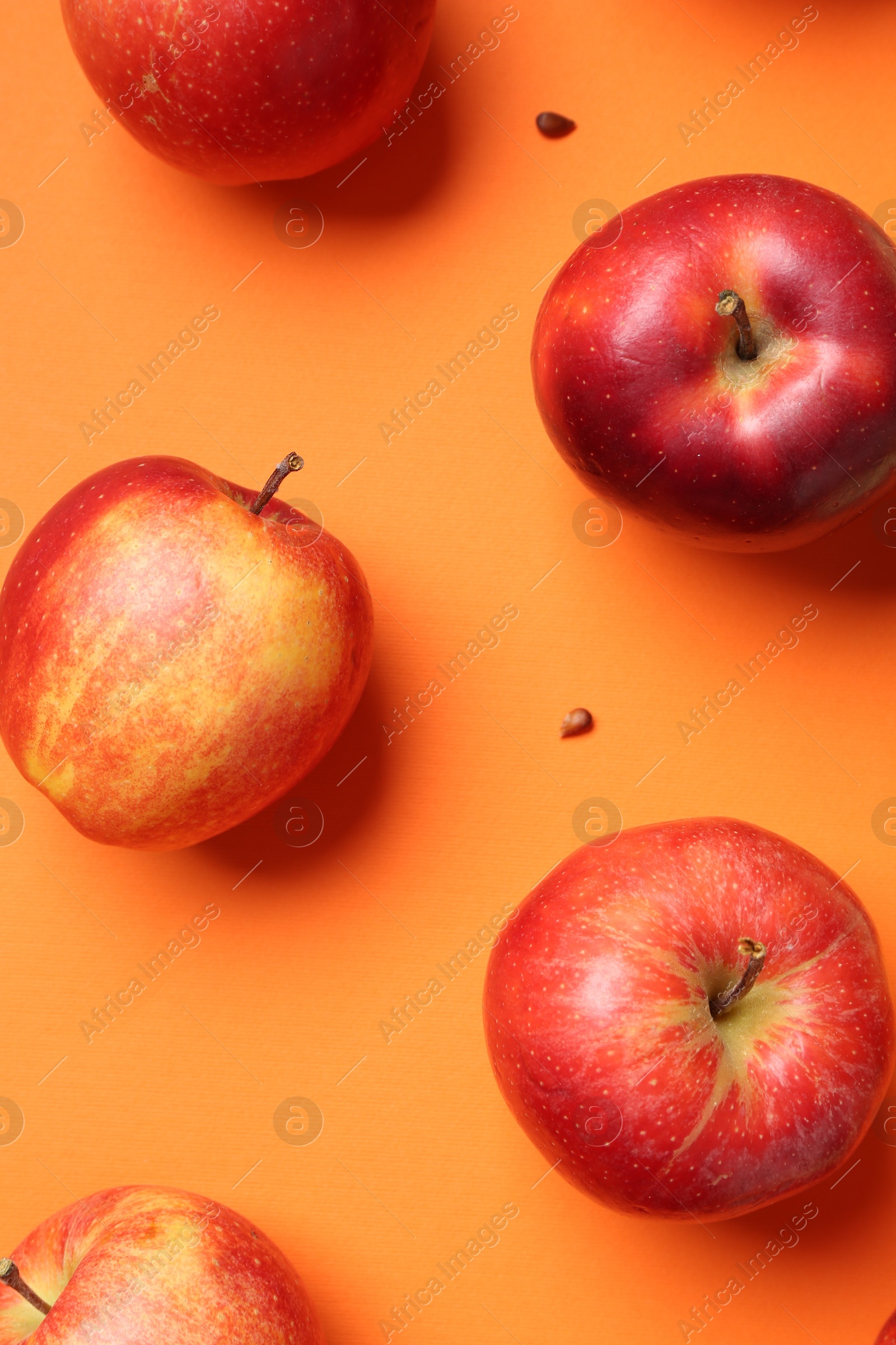 Photo of Fresh red apples and seeds on orange background, flat lay