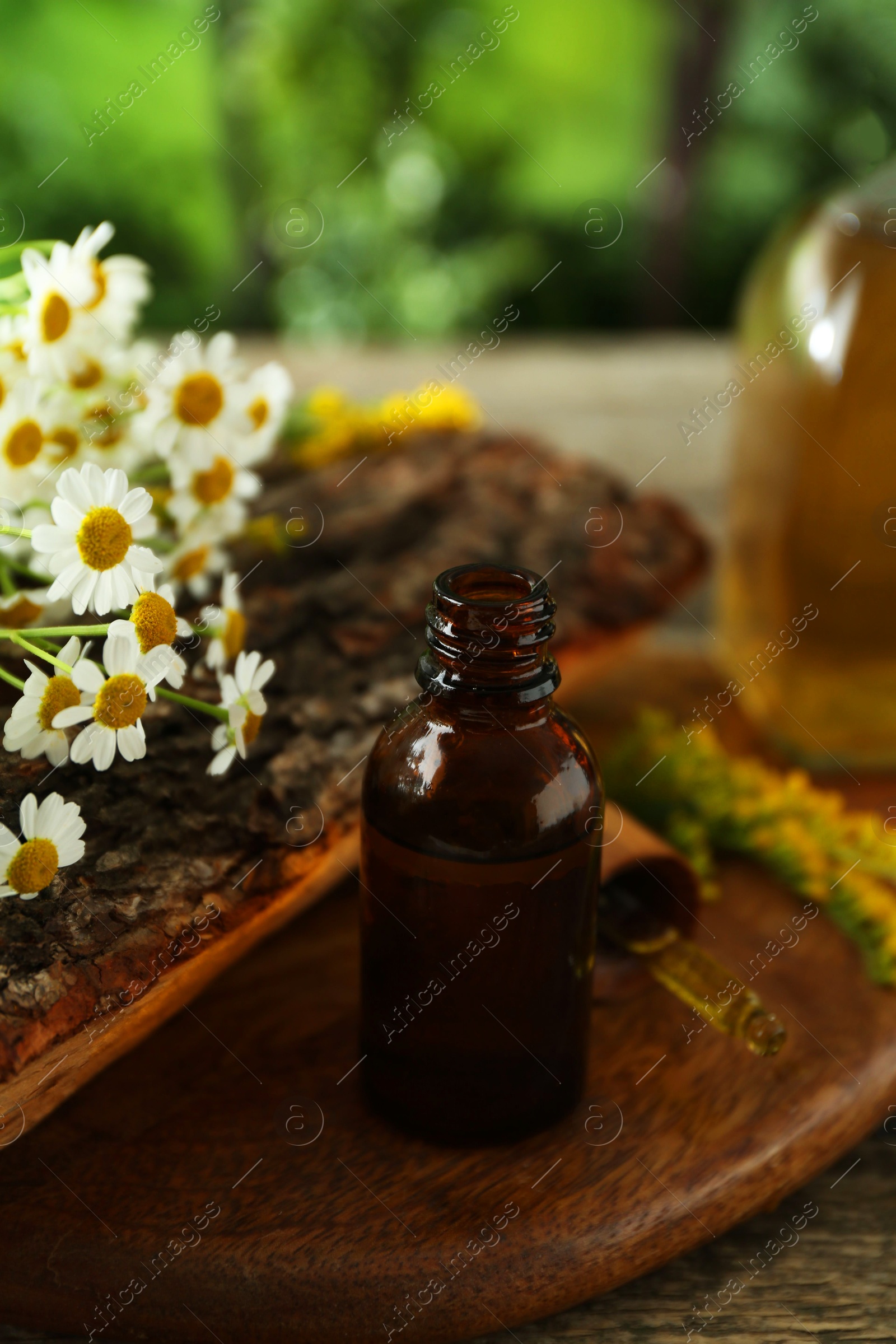 Photo of Tincture in bottle, pipette, goldenrods and chamomile flowers on wooden table, closeup