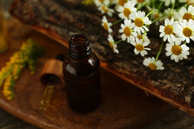 Photo of Tincture in bottle, pipette, goldenrods and chamomile flowers on table, closeup