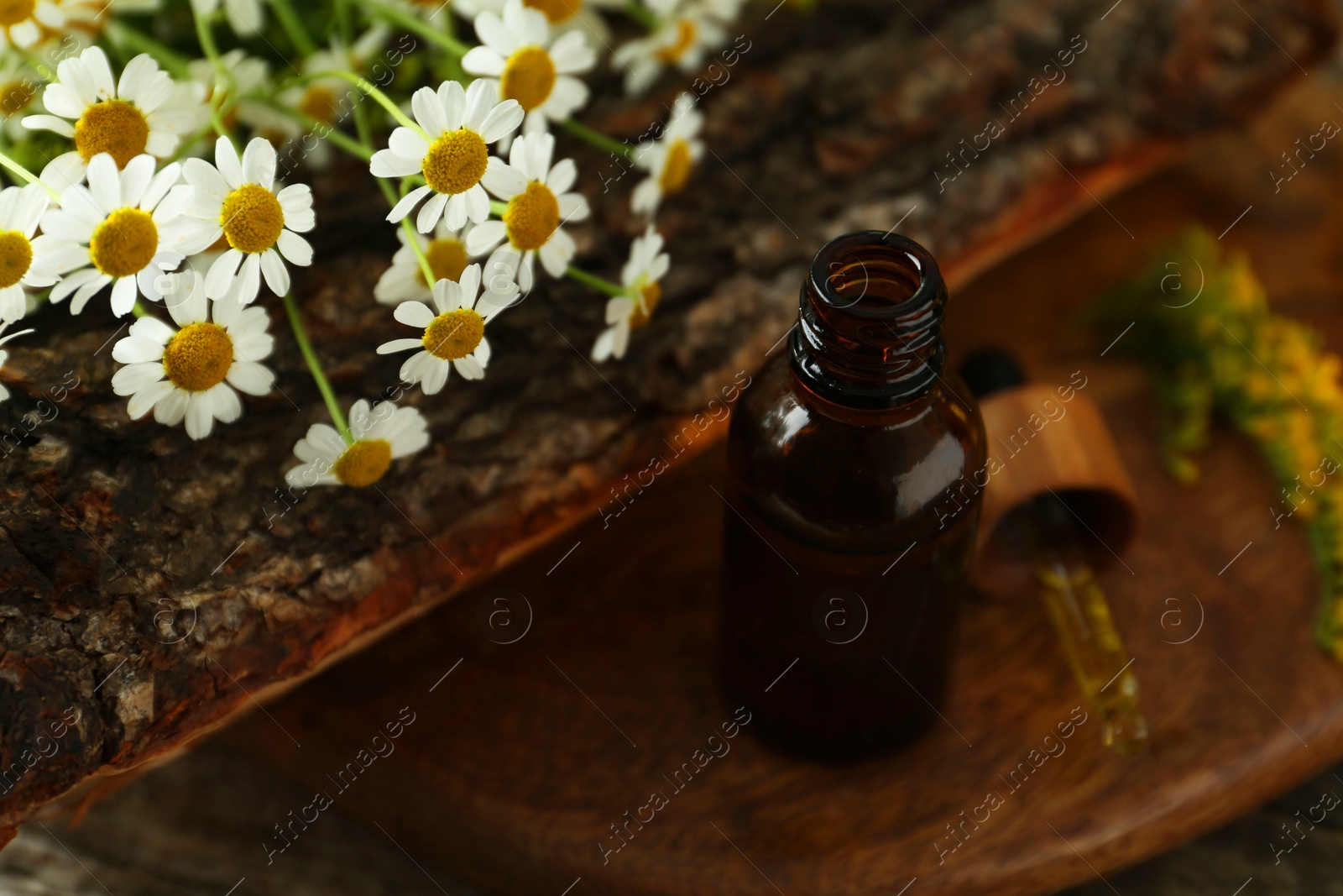 Photo of Tincture in bottle, pipette, goldenrods and chamomile flowers on table, closeup