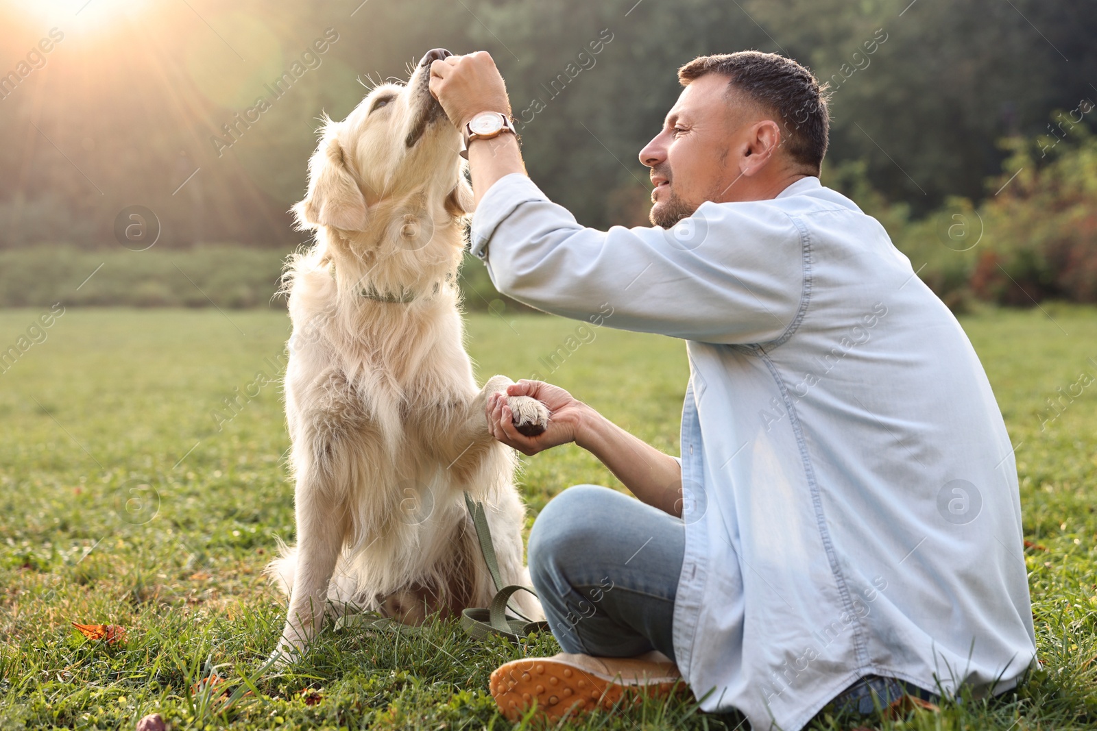 Photo of Man with cute Golden Retriever dog on spring day