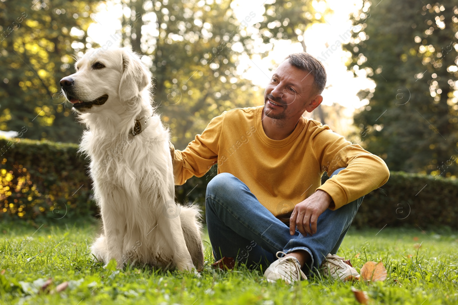 Photo of Smiling man with cute Golden Retriever dog on spring day