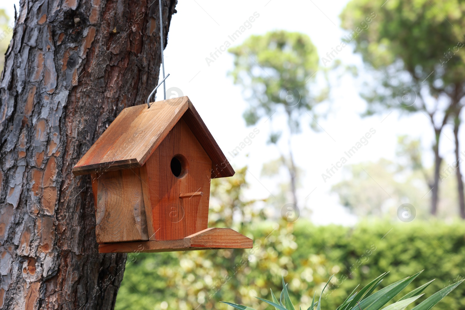 Photo of Beautiful wooden birdhouse hanging on tree trunk in park