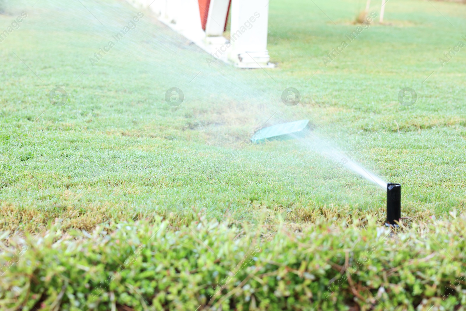 Photo of Automatic sprinkler watering green grass in garden