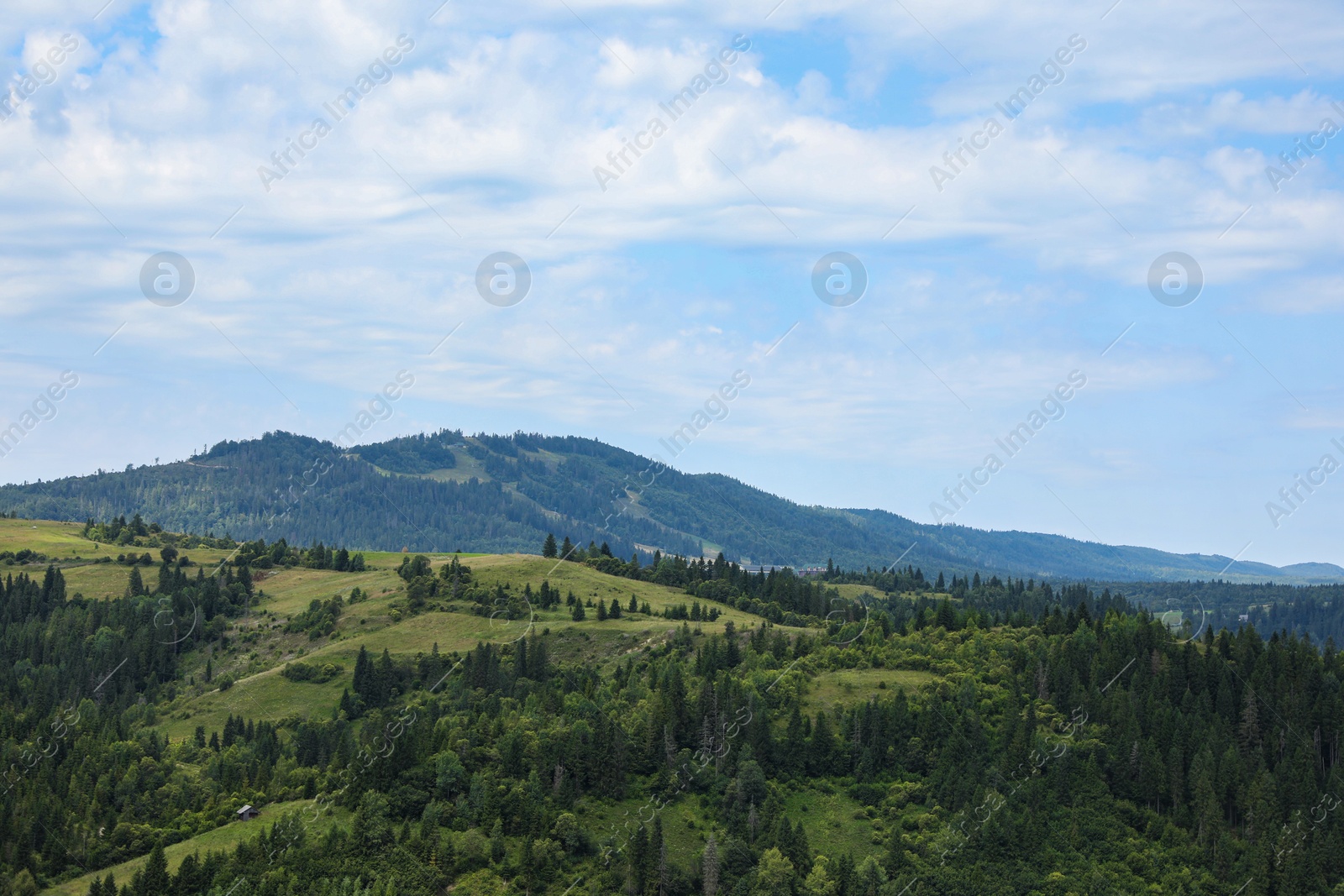 Photo of Beautiful view of forest in mountains under blue sky