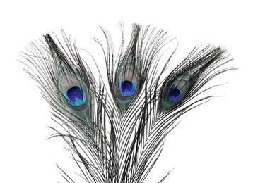 Photo of Three beautiful peacock feathers on white background, closeup