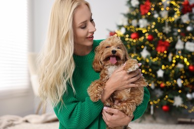 Woman with cute Maltipoo dog in room decorated for Christmas