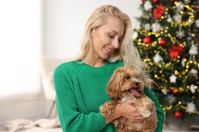 Woman with cute Maltipoo dog in room decorated for Christmas