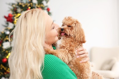 Woman with cute Maltipoo dog in room decorated for Christmas