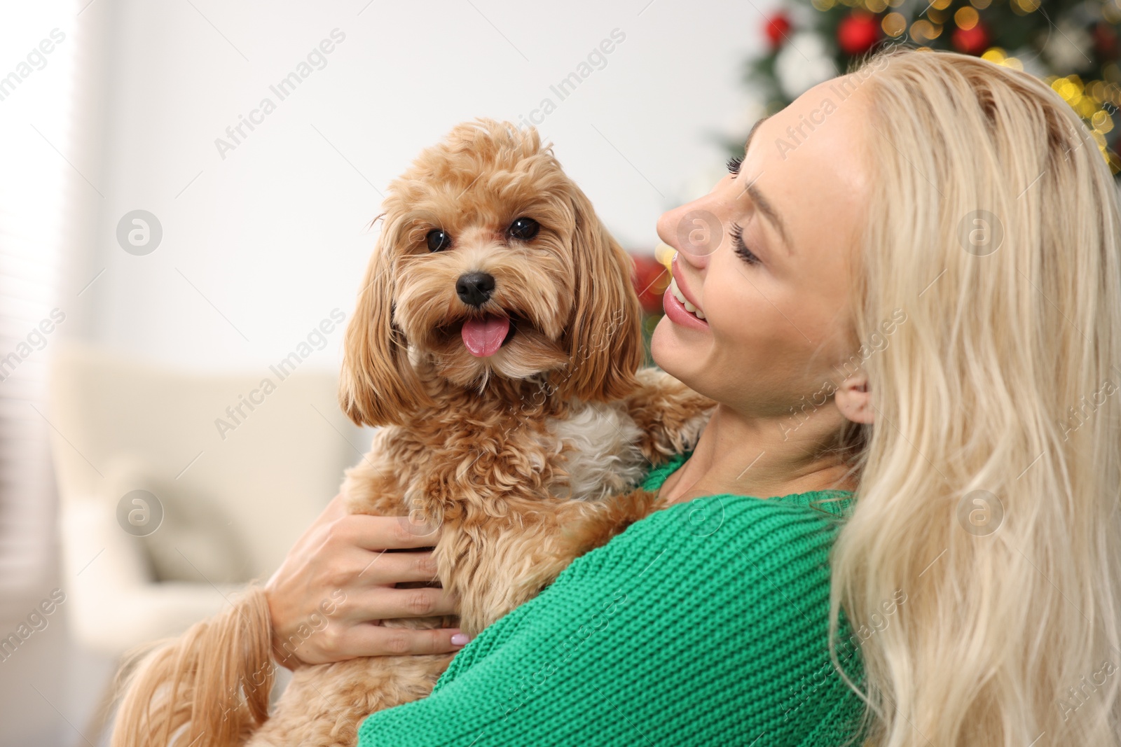 Photo of Woman with cute Maltipoo dog at home