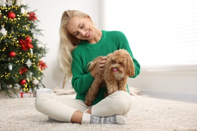 Woman with cute Maltipoo dog on rug in room decorated for Christmas