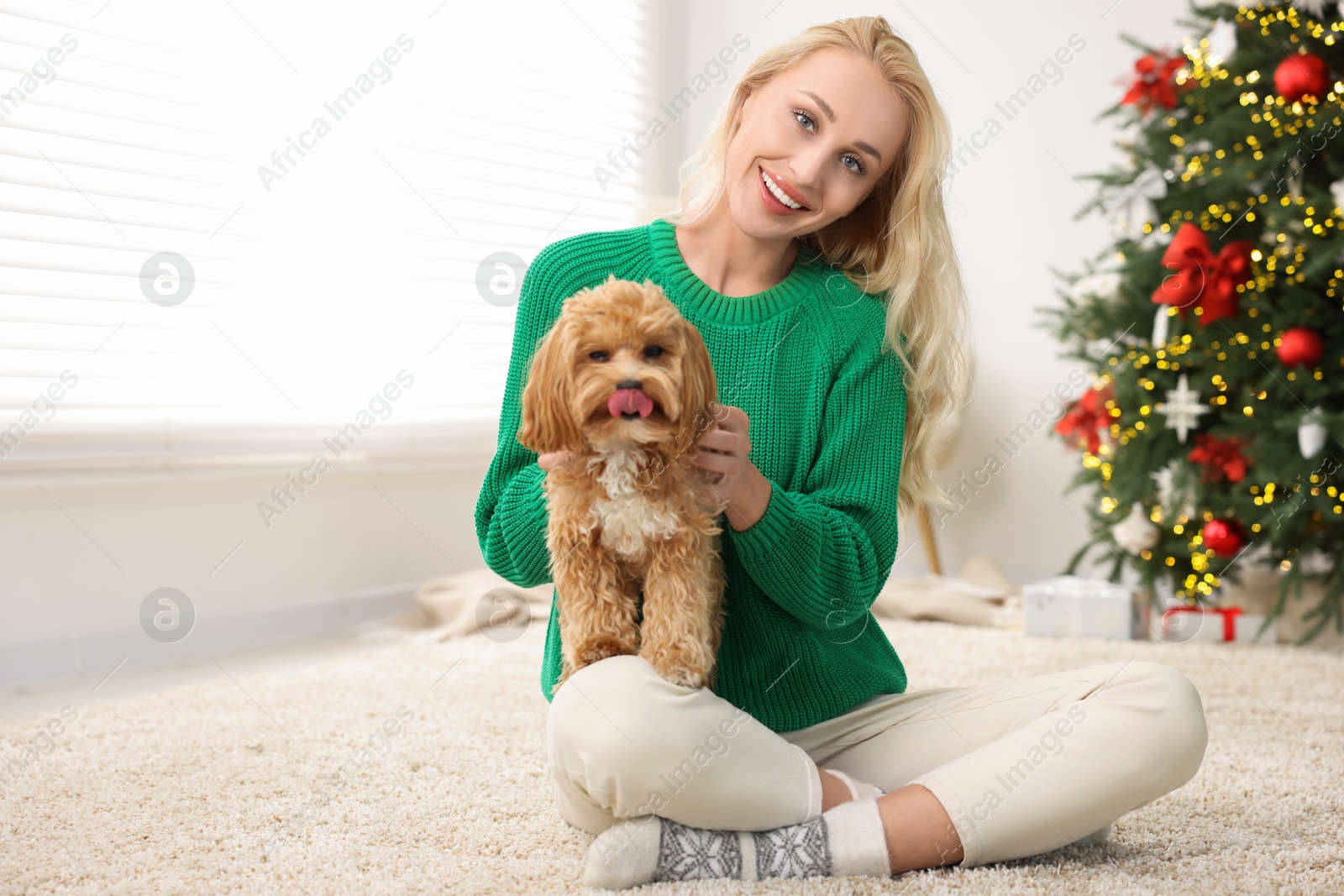 Photo of Woman with cute Maltipoo dog on rug in room decorated for Christmas, space for text