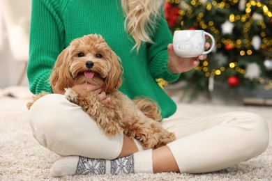 Woman with cup of drink and cute Maltipoo dog on rug indoors, closeup