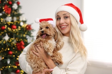 Woman with cute Maltipoo dog in room decorated for Christmas