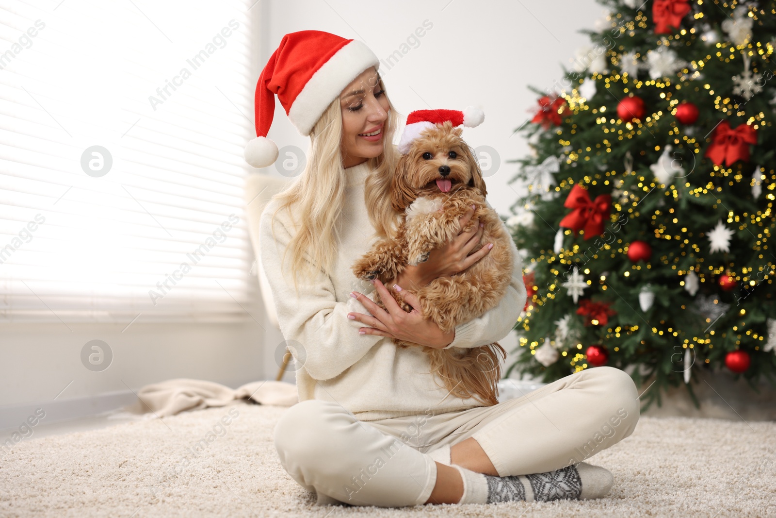 Photo of Woman with cute Maltipoo dog on rug in room decorated for Christmas