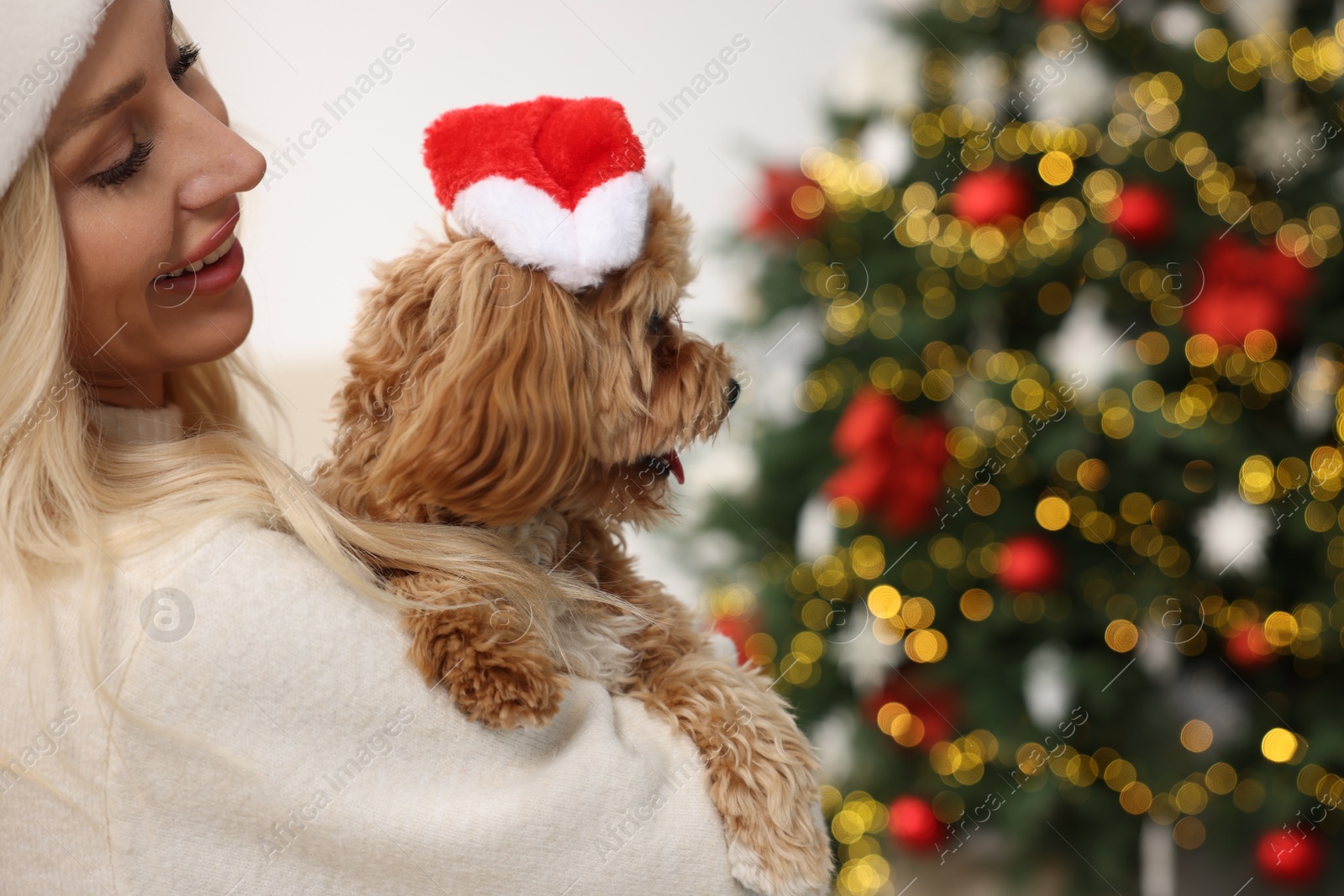 Photo of Woman with cute Maltipoo dog in room decorated for Christmas, space for text