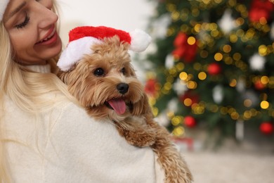 Photo of Woman with cute Maltipoo dog in room decorated for Christmas, space for text