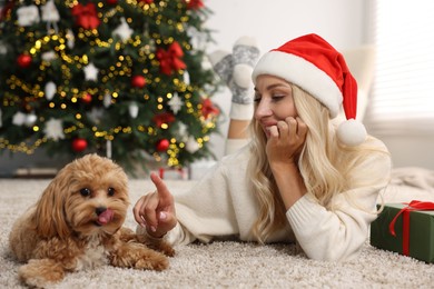 Woman with cute Maltipoo dog on rug in room decorated for Christmas