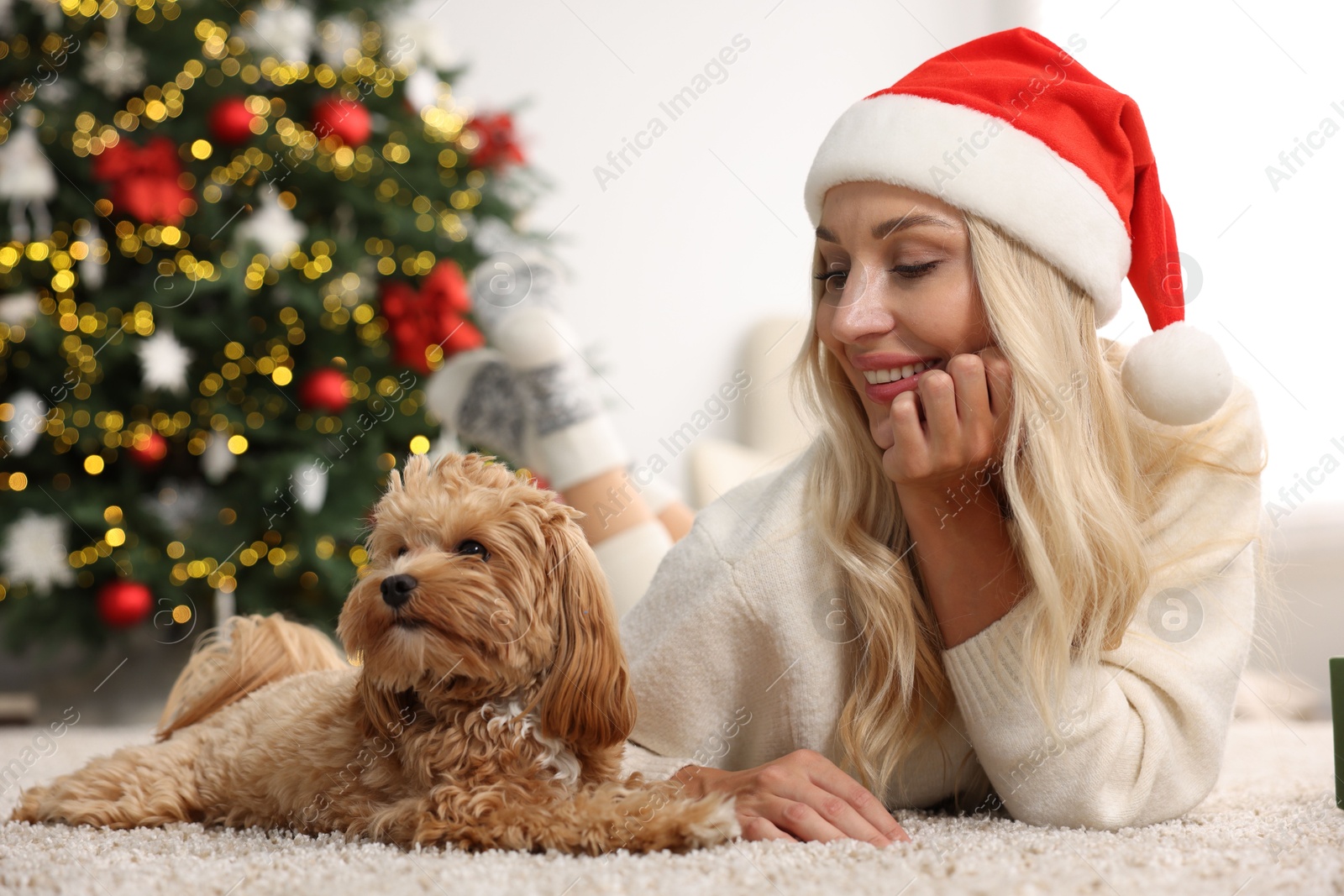 Photo of Woman with cute Maltipoo dog lying on rug in room decorated for Christmas