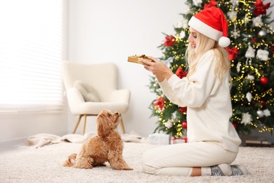 Woman with gift box and cute Maltipoo dog in room decorated for Christmas