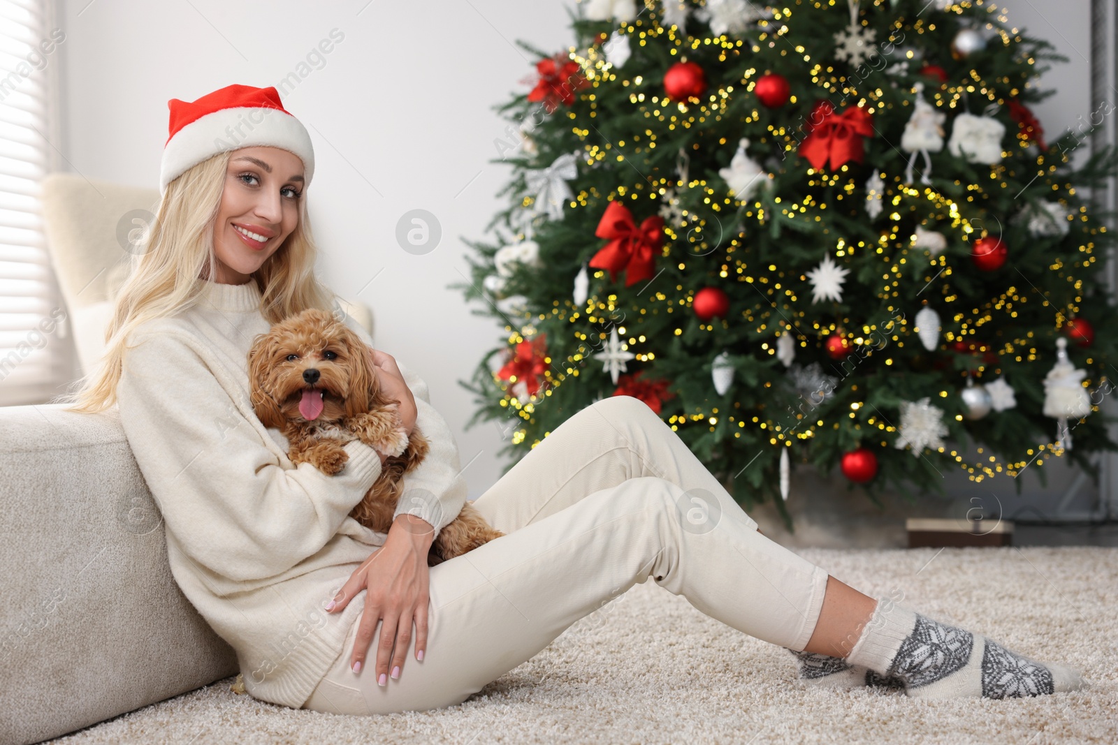 Photo of Woman with cute Maltipoo dog on rug in room decorated for Christmas