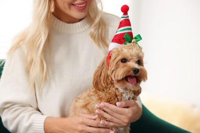 Woman with cute Maltipoo dog at home, closeup