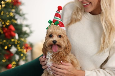 Woman with cute Maltipoo dog in room decorated for Christmas, closeup