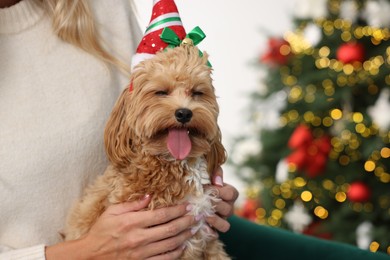 Woman with cute Maltipoo dog in room decorated for Christmas, closeup