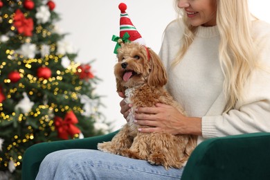 Woman with cute Maltipoo dog in room decorated for Christmas, closeup