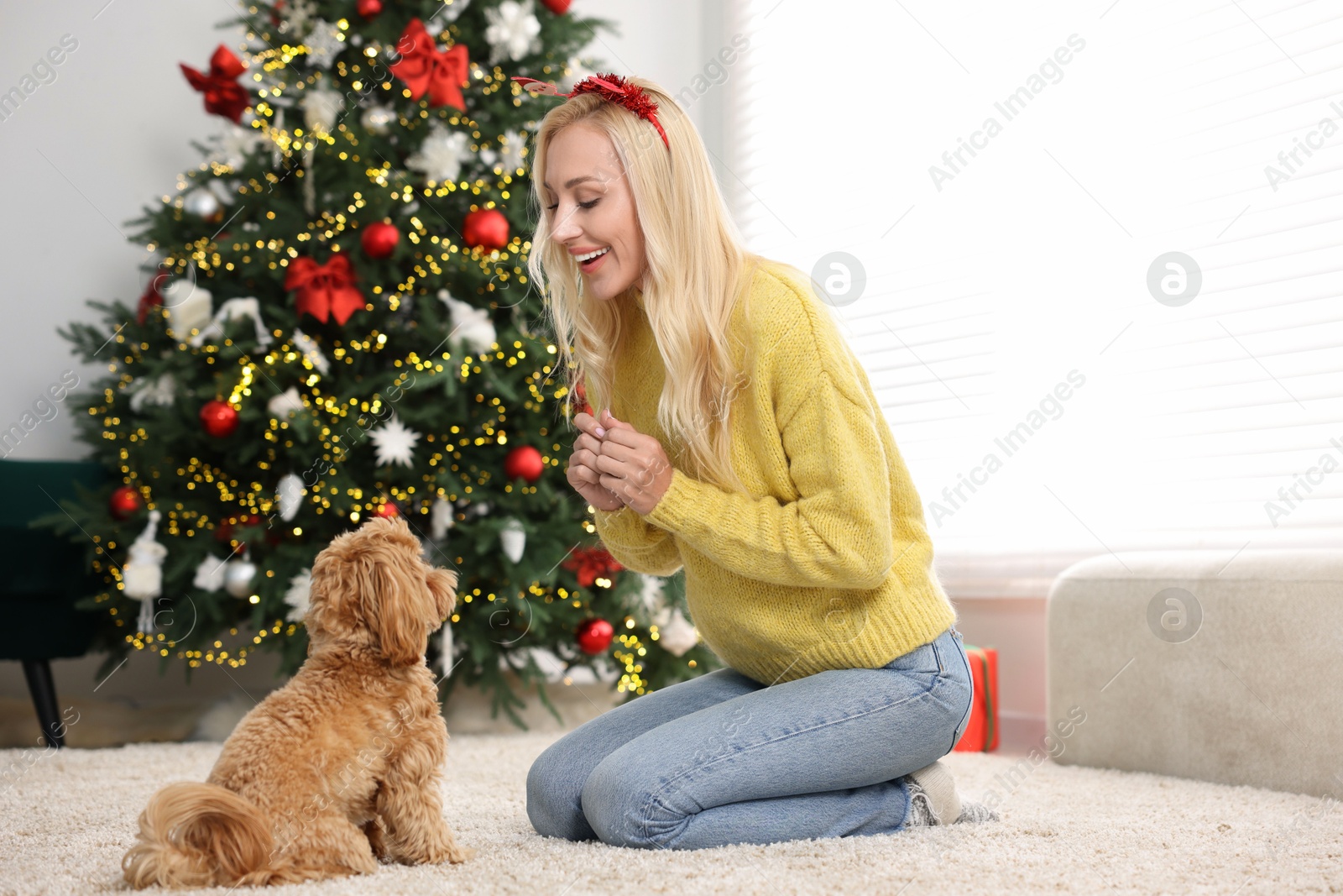 Photo of Woman with cute Maltipoo dog on rug in room decorated for Christmas