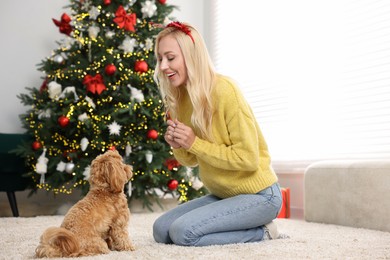 Photo of Woman with cute Maltipoo dog on rug in room decorated for Christmas