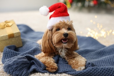 Photo of Cute Maltipoo dog with Santa hat on blanket indoors