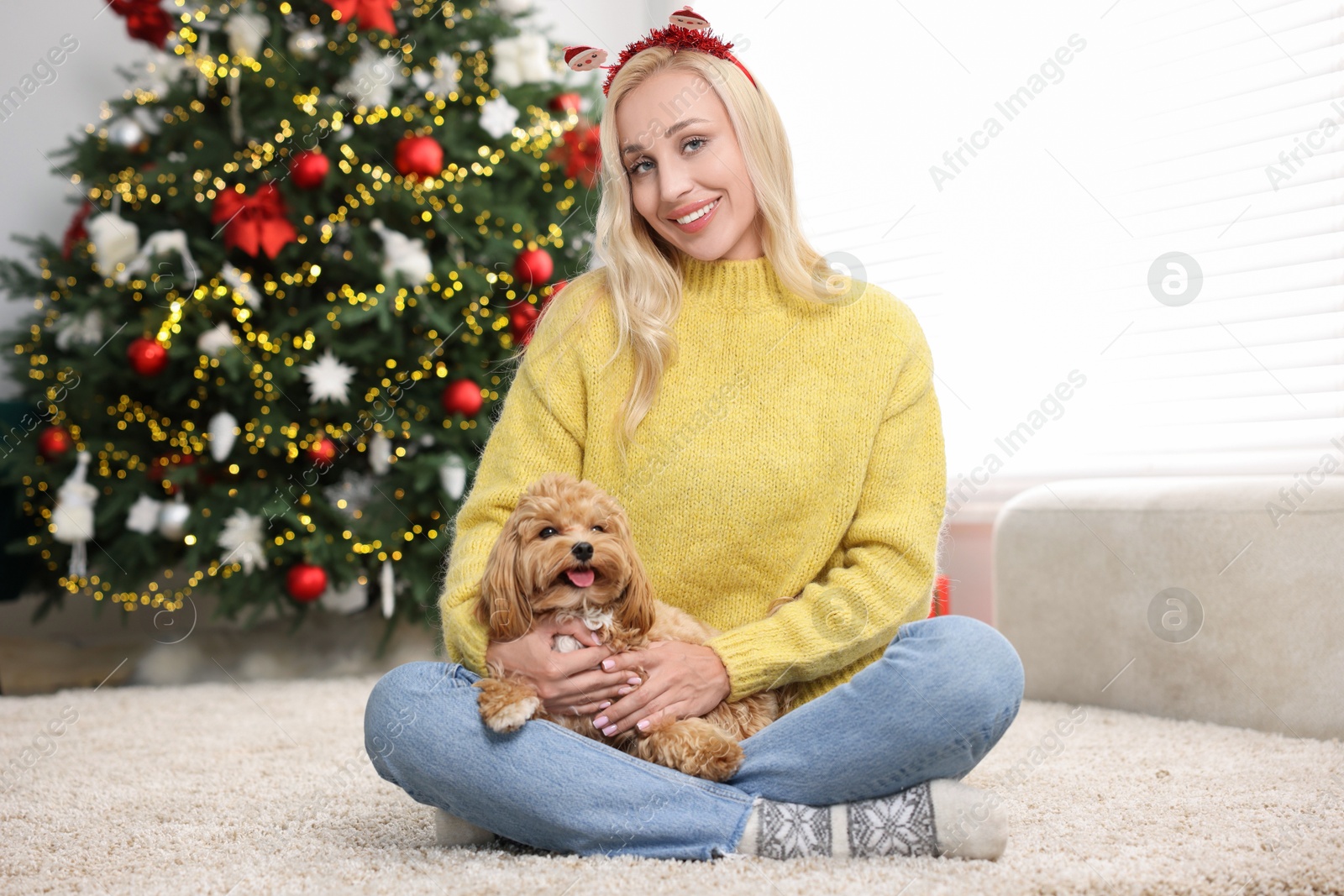 Photo of Woman with cute Maltipoo dog on rug in room decorated for Christmas