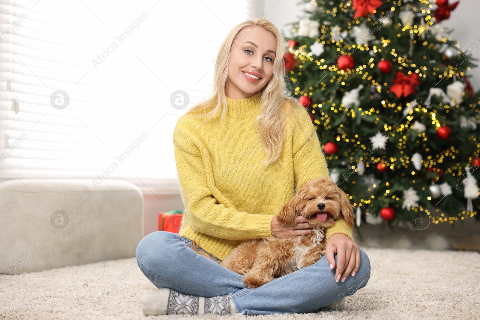 Photo of Woman with cute Maltipoo dog on rug in room decorated for Christmas