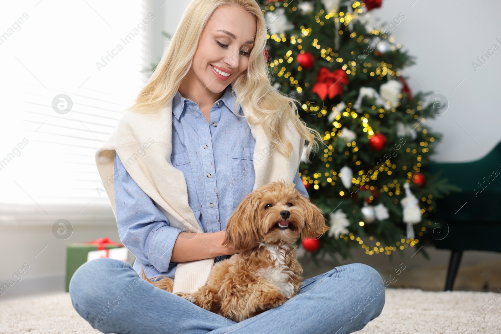 Photo of Woman with cute Maltipoo dog on rug in room decorated for Christmas