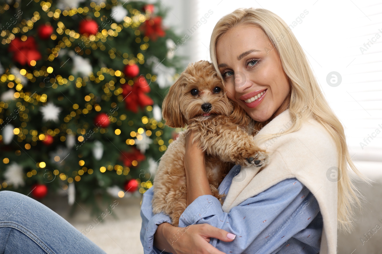 Photo of Woman with cute Maltipoo dog in room decorated for Christmas