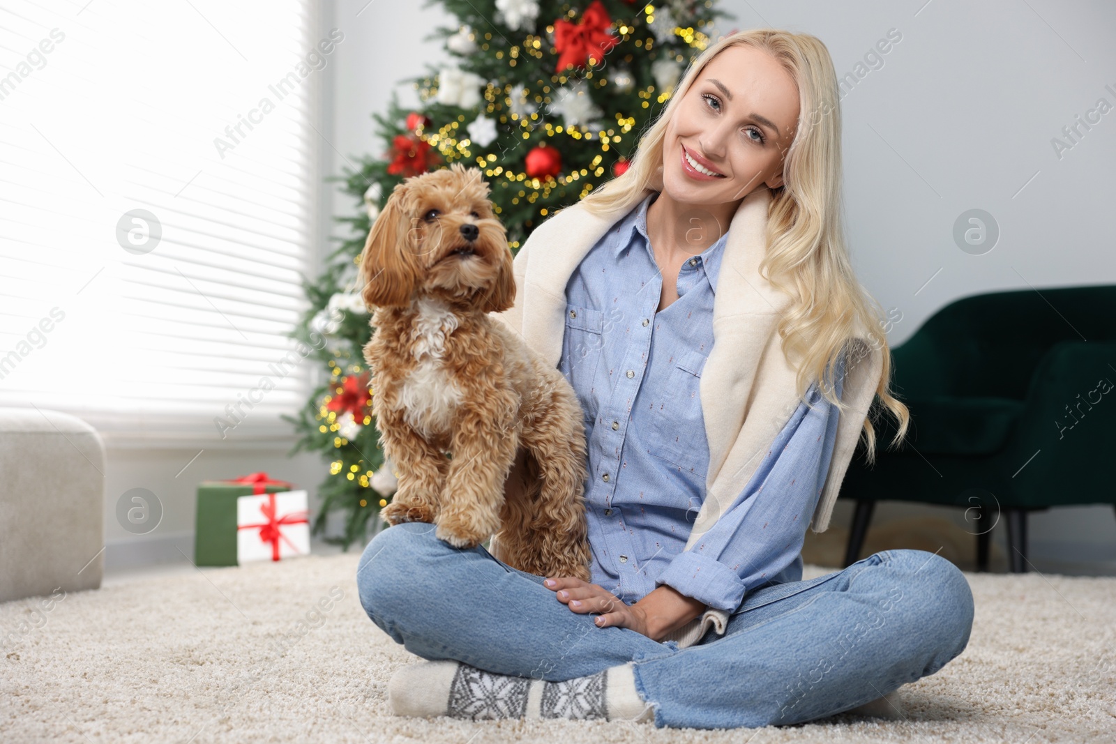 Photo of Woman with cute Maltipoo dog on rug in room decorated for Christmas