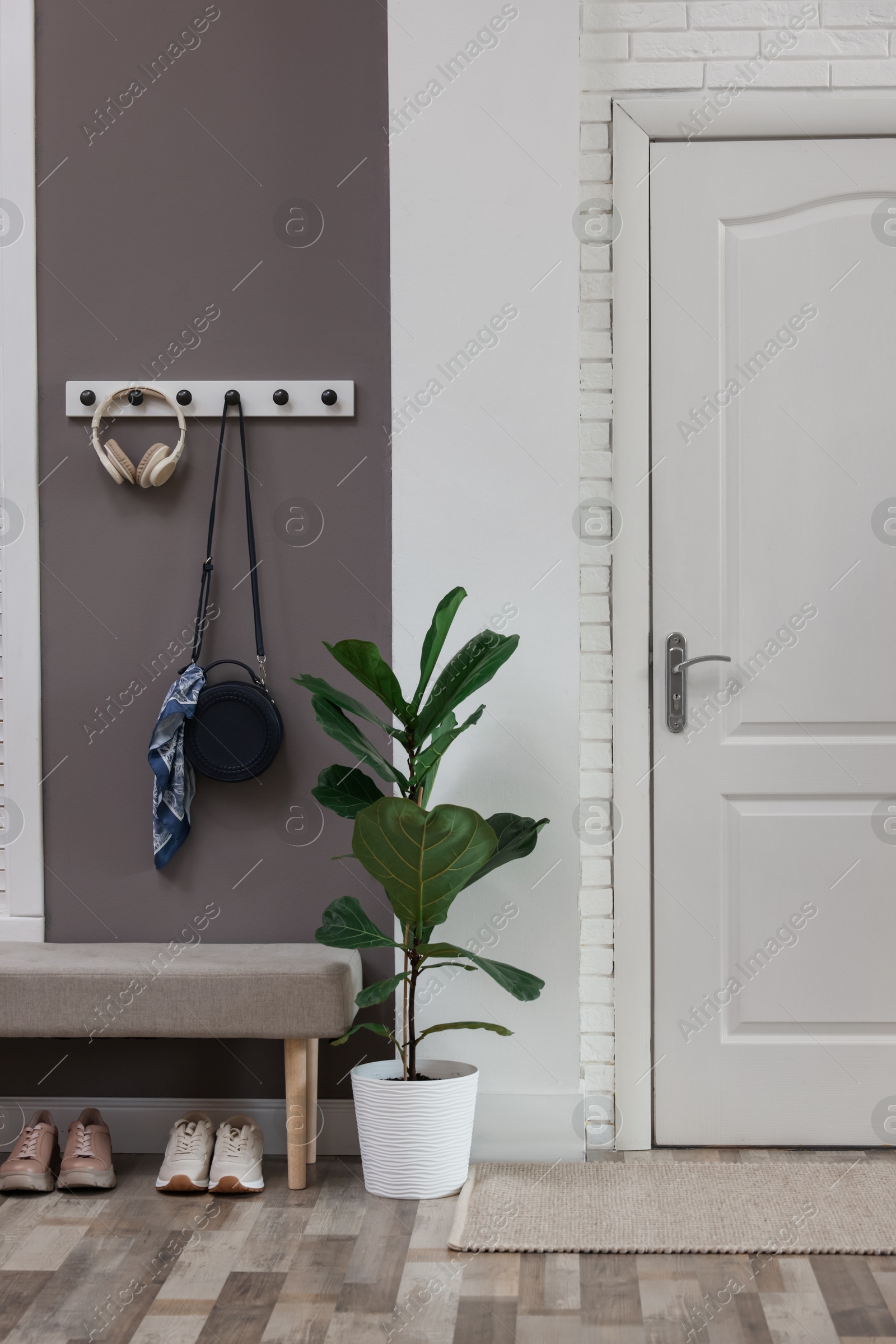 Photo of Stylish hallway interior with coat rack and houseplant