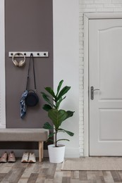 Photo of Stylish hallway interior with coat rack and houseplant